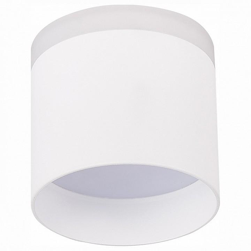 Накладной светильник ST-Luce Panaggio ST102.542.09 