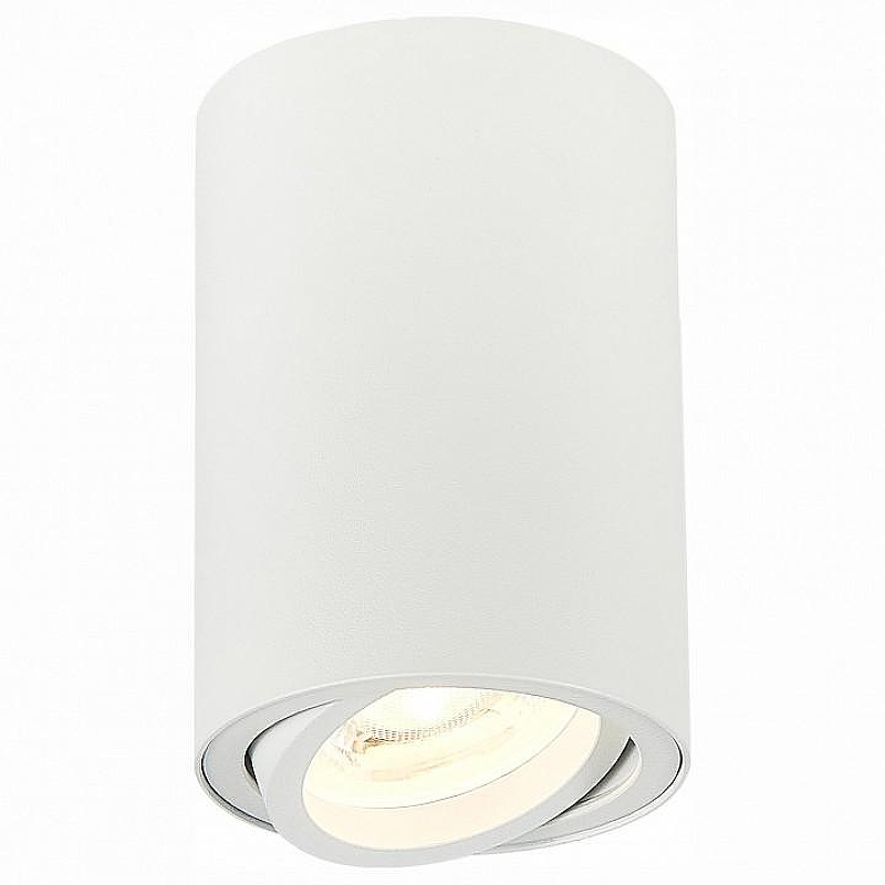 Спот ST-Luce Torus ST108.507.01 