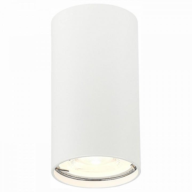 Накладной светильник ST-Luce S1mplus ST110.507.01 