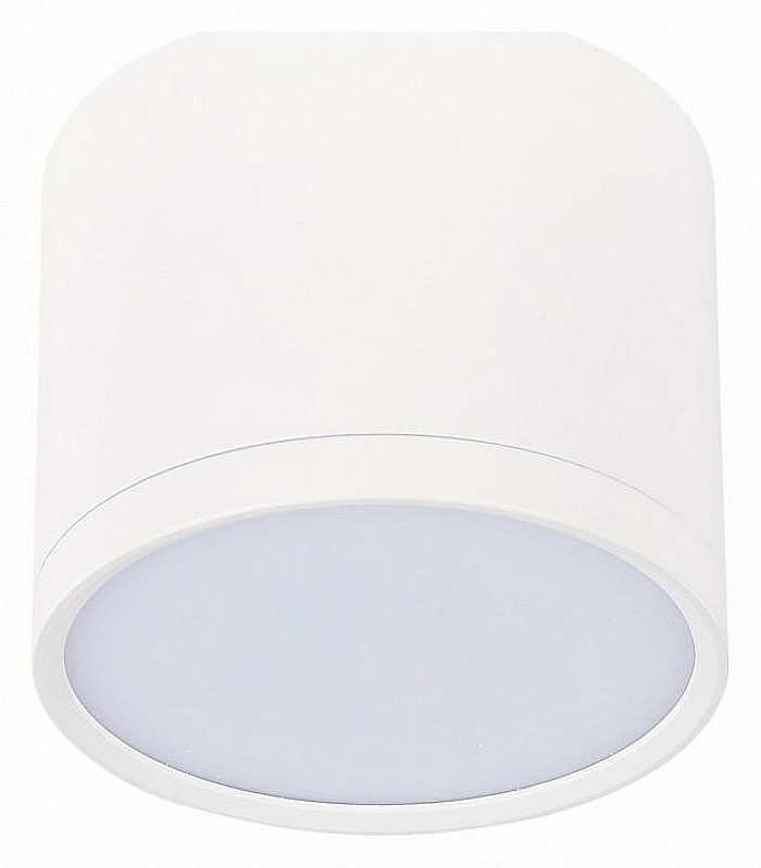 Накладной светильник ST-Luce Rene ST113.532.09 