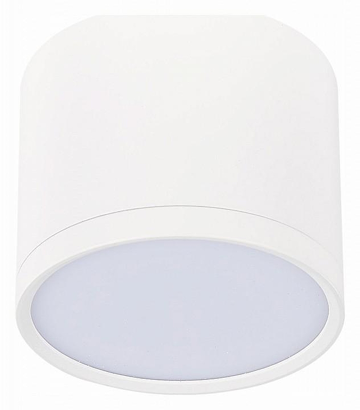 Накладной светильник ST-Luce Rene ST113.542.09 