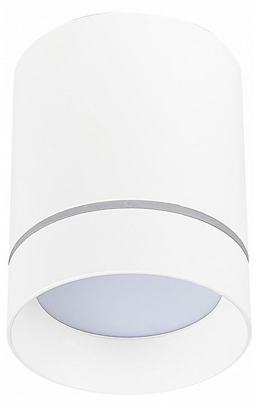 Накладной светильник ST-Luce ST115 ST115.532.12 