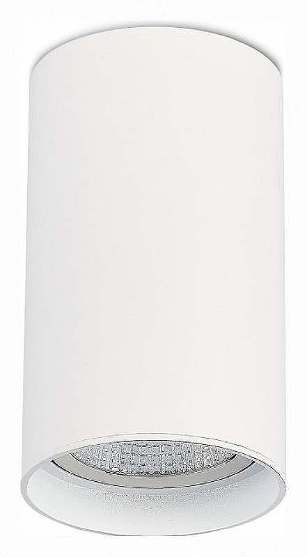 Накладной светильник ST-Luce ST157 ST157.542.20 