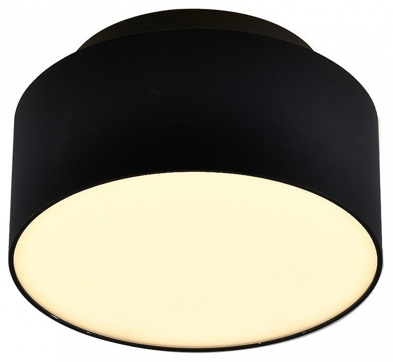 Накладной светильник ST-Luce ST166 ST166.442.17 