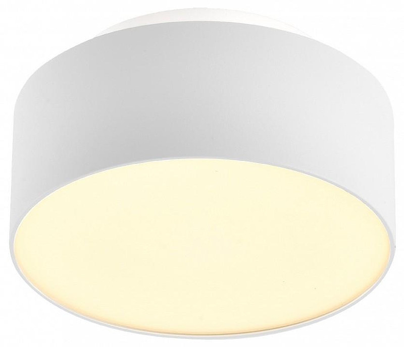 Накладной светильник ST-Luce ST166 ST166.532.17 