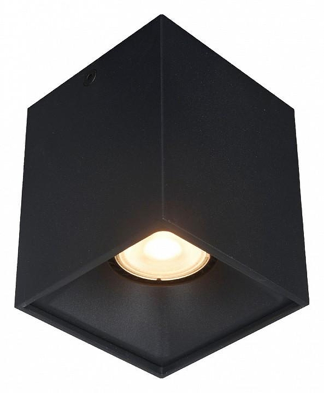 Накладной светильник ST-Luce ST168 ST168.402.01 