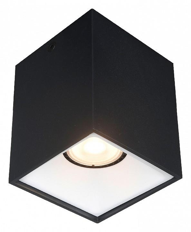 Накладной светильник ST-Luce ST168 ST168.452.01 