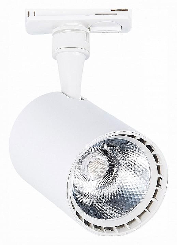 Светильник на штанге ST-Luce Cam1 ST351.546.20.36 