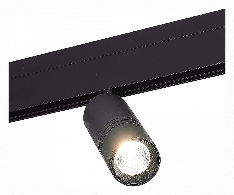 Светильник на штанге ST-Luce Lemmi ST365.446.12 