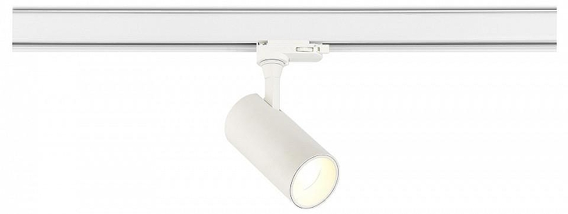 Светильник на штанге ST-Luce ST383 ST383.596.20 