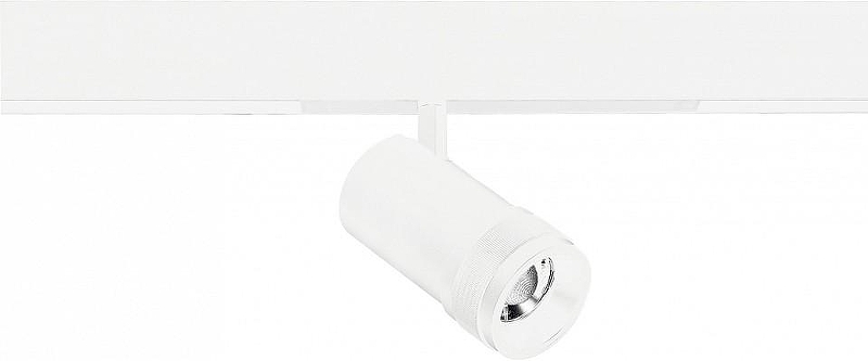 Светильник на штанге ST-Luce SKYLINE 220 ST658.596.20 