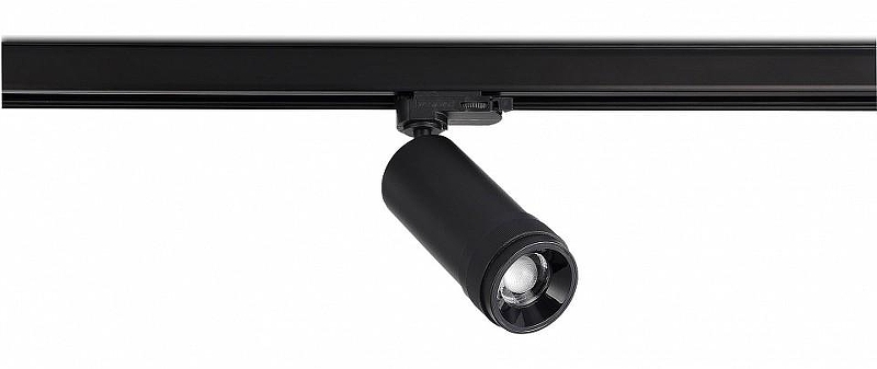 Светильник на штанге ST-Luce ST691.436.20 