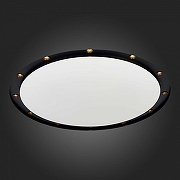 Встраиваемый светильник ST-Luce ST706 ST706.438.60 цвет плафона/подвески Черный, цвет арматуры Белый-3