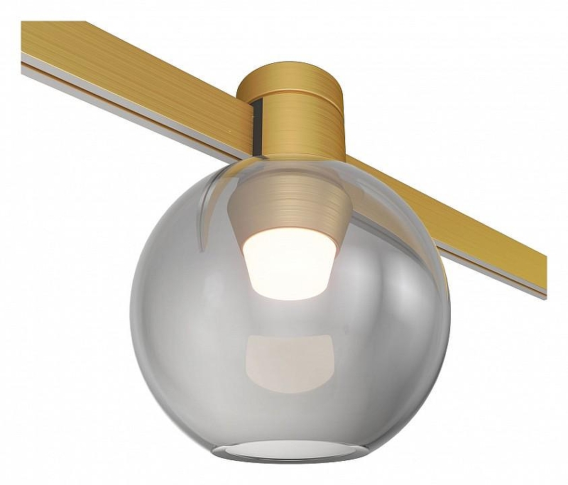 Накладной светильник ST-Luce Farm ST819.206.03 