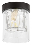 Накладной светильник Lampit DENI TC 2020-1 BK цвет плафона/подвески Прозрачный, цвет арматуры Черный