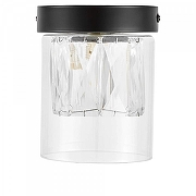 Накладной светильник Lampit DENI TC 2020-1 BK цвет плафона/подвески Прозрачный, цвет арматуры Черный-1