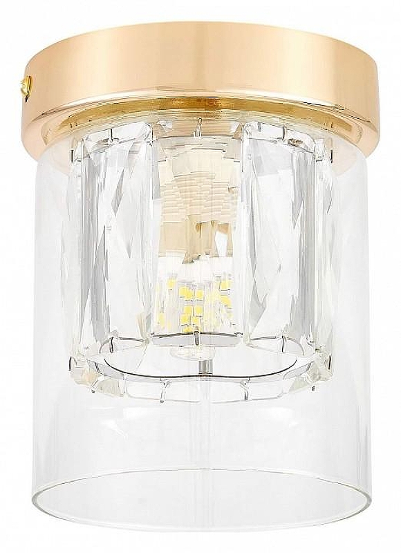 Накладной светильник Lampit DENI TC 2020-1 FGD 