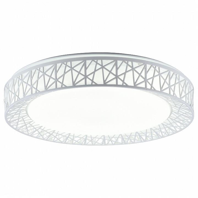 Накладной светильник TopLight Diana TL1204X-72WH 