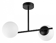 Светильник на штанге Lampit LEDO TP 2011-2 BK цвет плафона/подвески Белый, цвет арматуры Черный