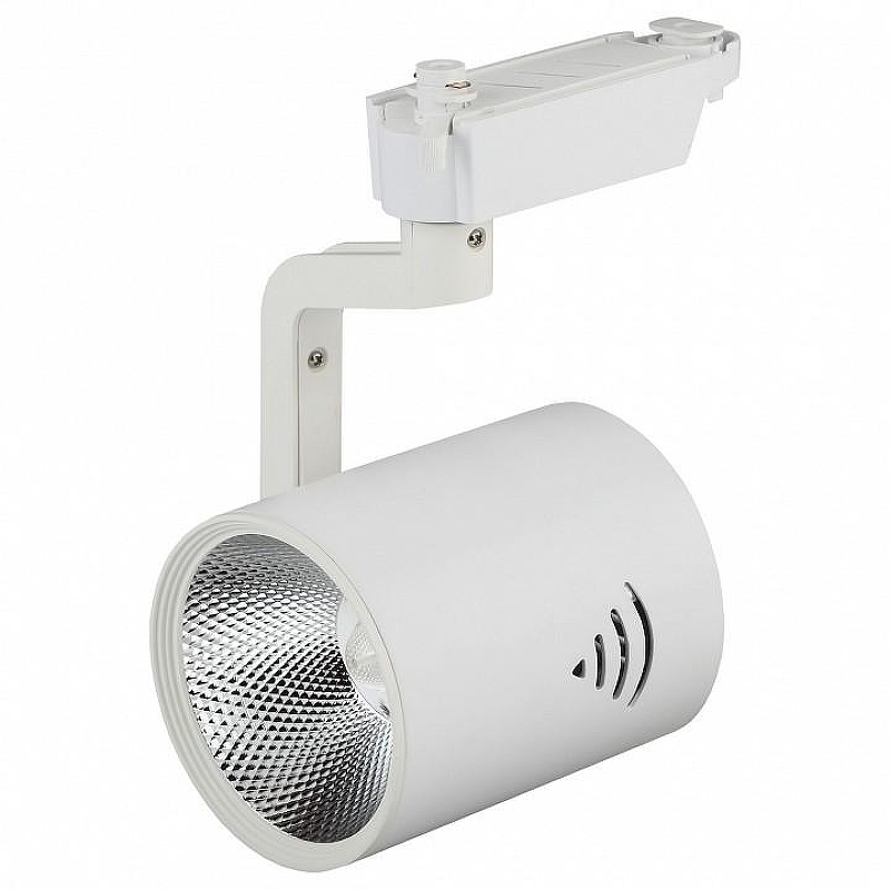 Светильник на штанге Эра TR1 TR1 - 30 WH 