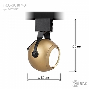 Светильник на штанге Эра TR35-GU10 MG цвет плафона/подвески Золото, цвет арматуры Черный-6