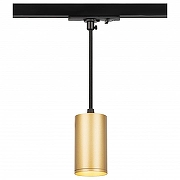 Подвесной светильник Эра TR45 - GU10 S MG цвет плафона/подвески Золото, цвет арматуры Черный
