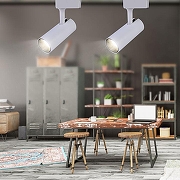 Светильник на штанге Эра TR5-20 COB WH цвет плафона/подвески Белый, цвет арматуры Белый-3