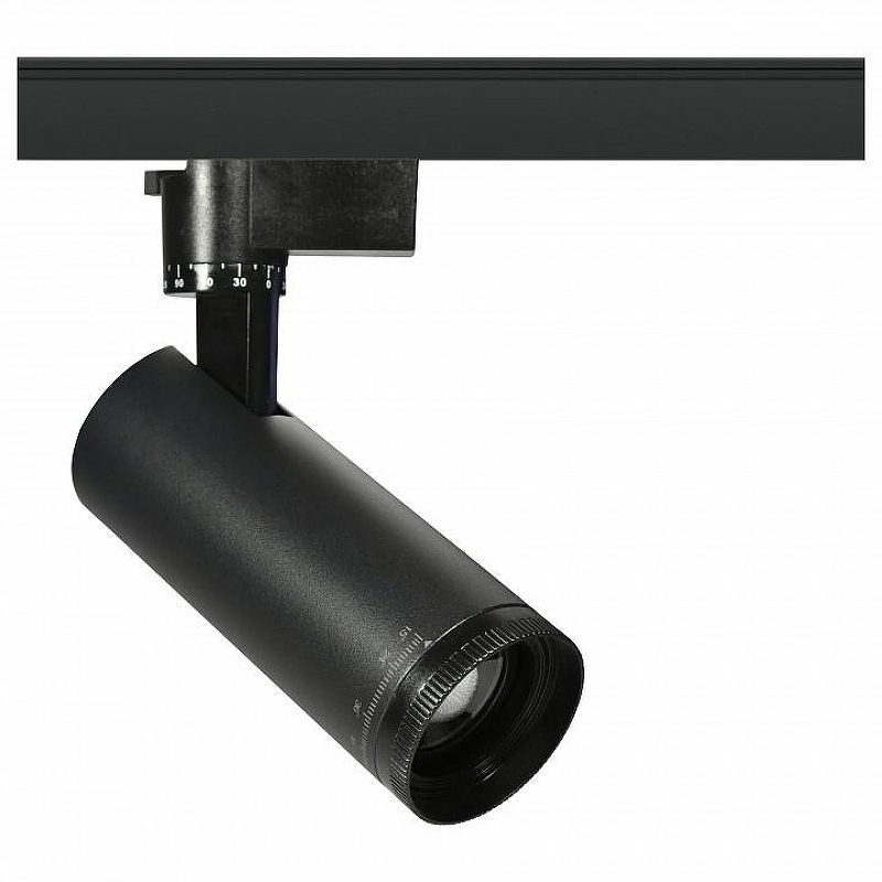 Светильник на штанге Эра TR59 - 3030 BK 