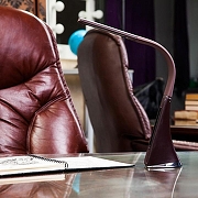 Настольная лампа офисная Uniel TLD-542 UL-00001817 цвет плафона/подвески Коричневый, цвет арматуры Коричневый-14