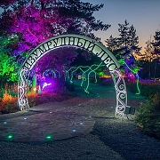 Светодиодная лента Uniel ULS-N21-2835 UL-00003767 IP67-5