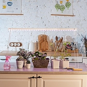 Светильник для растений Uniel ULI-P17 UL-00003958 цвет плафона/подвески Прозрачный, цвет арматуры Белый-14