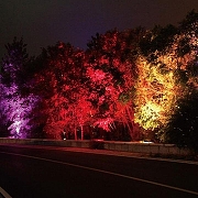 Светильник на штанге Volpe Black 17 UL-00005810 цвет плафона/подвески Черный, цвет арматуры Черный-6