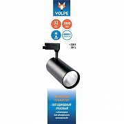 Светильник на штанге Volpe ULB-Q276 UL-00005943 цвет плафона/подвески Черный, цвет арматуры Черный-6