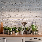 Светильник для растений Uniel ULI-P19 UL-00006554 цвет плафона/подвески Прозрачный, цвет арматуры Белый-9