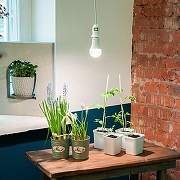 Подвесной светильник Uniel DLC-P UL-00007434 цвет Белый-3