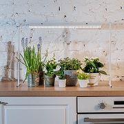 Светильник для растений Uniel ULI-P18 UL-00007454 цвет плафона/подвески Прозрачный, цвет арматуры Белый-7