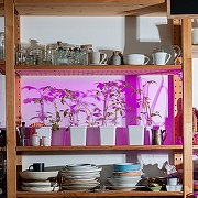 Комплект с лентой светодиодной для растений Uniel ULS-P71 UL-00007572 IP65-6