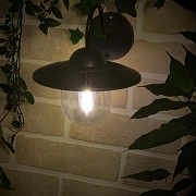 Светильник на штанге Uniel UL-00007863 цвет плафона/подвески Прозрачный, цвет арматуры Черный-6