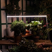 Светильник для растений Uniel ULI-P11 UL-00008919 цвет плафона/подвески Белый, цвет арматуры Белый-14