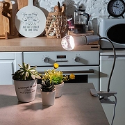 Светильник для растений Uniel TLI UL-00009078 цвет Белый-5