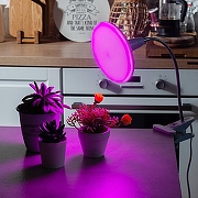 Светильник для растений Uniel TLI UL-00009078 цвет Белый-8