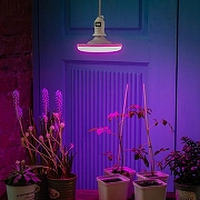 Подвесной светильник Uniel DLC-P UL-00009249 цвет Белый-6