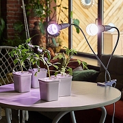 Светильник для растений Uniel TLI UL-00010305 цвет Белый-8