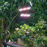 Светильник для растений Uniel ULT-P UL-00010378 цвет плафона/подвески Черный, цвет арматуры Черный-14