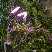 Светильник для растений Uniel ULT-P37 UL-00011829 цвет плафона/подвески Белый, цвет арматуры Белый-13