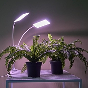 Светильник для растений Uniel ULT-P37 UL-00011829 цвет плафона/подвески Белый, цвет арматуры Белый-14