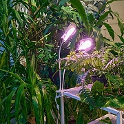 Светильник для растений Uniel ULT-P35M UL-00012580 цвет плафона/подвески Белый, цвет арматуры Белый-12