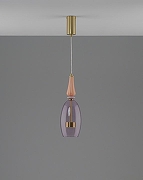 Подвесной светильник Moderli Corals V11155-PL цвет плафона/подвески Фиолетовый, цвет арматуры Золото-2