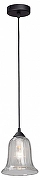 Подвесной светильник Vitaluce V2927-1/1S цвет плафона/подвески Прозрачный, цвет арматуры Черный-1