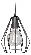 Подвесной светильник Vitaluce 4383 V4383-1/1S цвет черный
